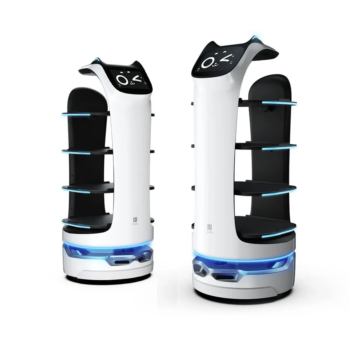 Interactive Delivery Robot