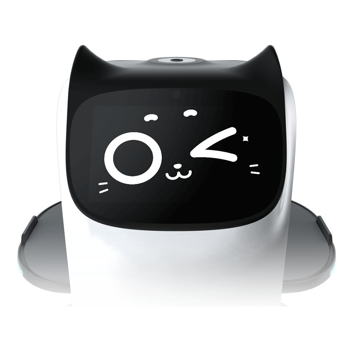 Interactive Delivery Robot