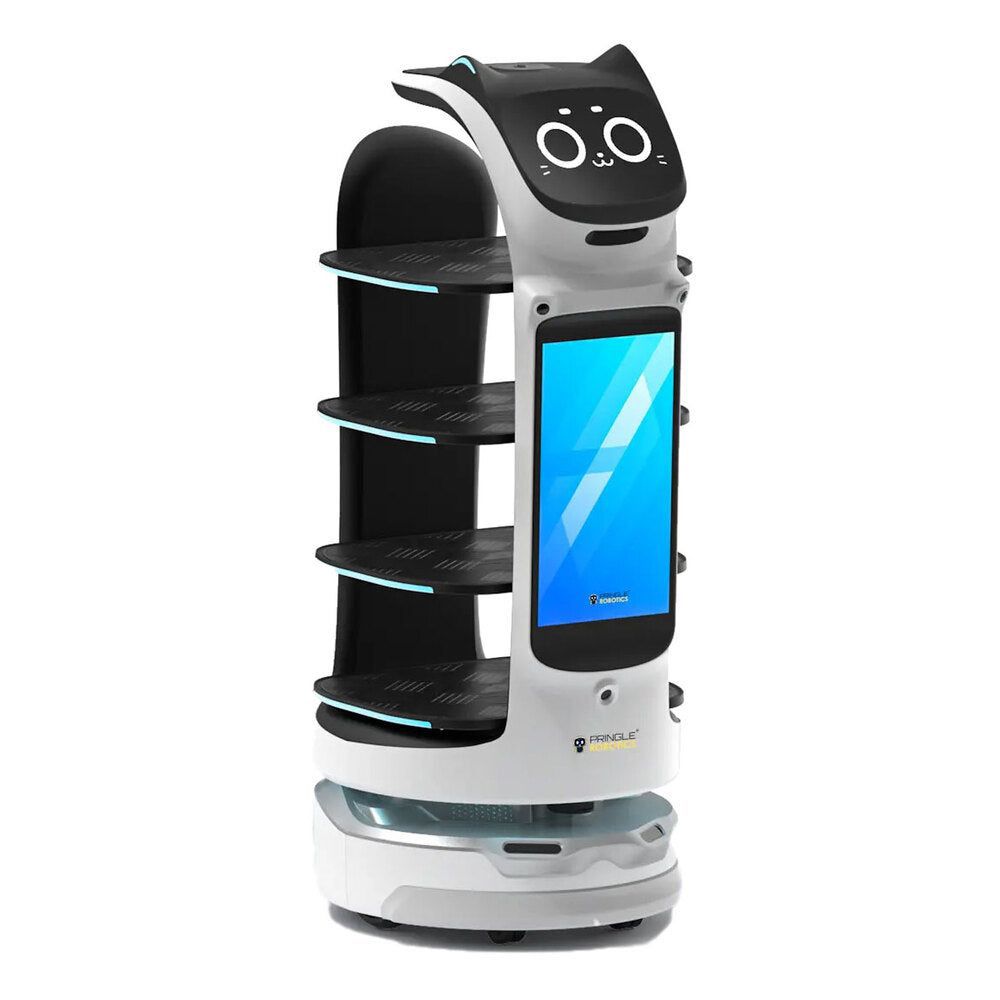 Interactive Delivery Robot