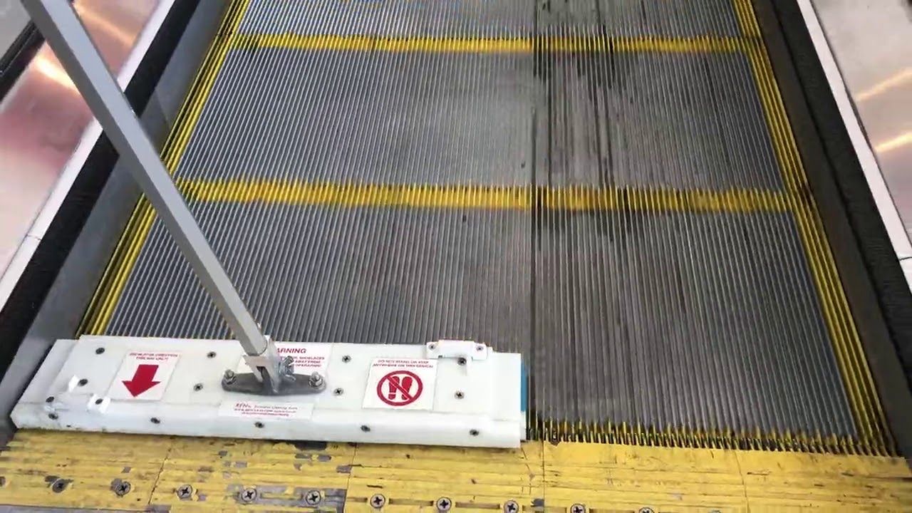 REN Riser Pads REN Riser Pads