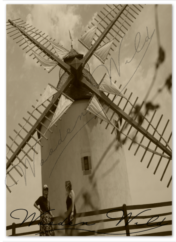 Moulin de Bénesse lès Dax- Landes
