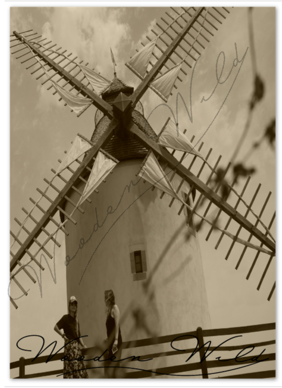 Moulin de Bénesse lès Dax- Landes