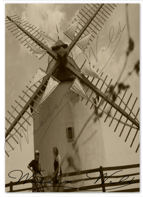 Moulin de Bénesse lès Dax- Landes