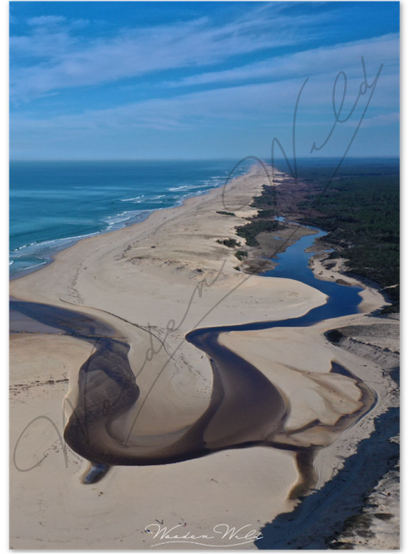 Courant d'Huchet - Landes
