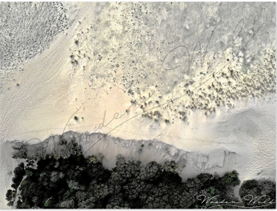 DUNES DES LANDES