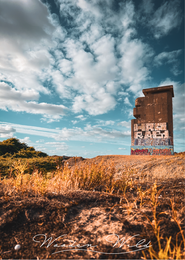 SENTINELLE DE L'ATLANTIQUE - LANDES