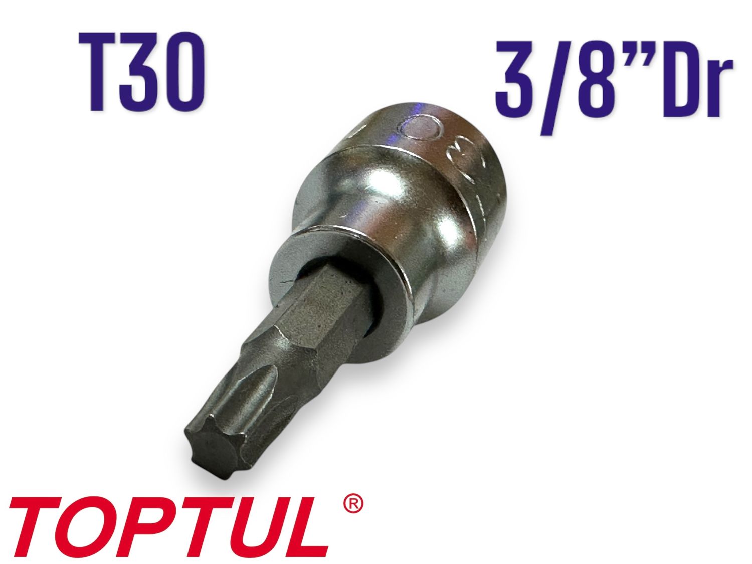 T30 Socket 3/8"Dr