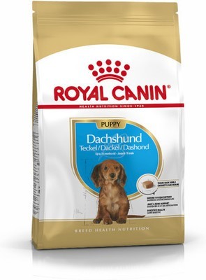 Royal Canin • Breed Health Nutrition • Dachshund • Puppy