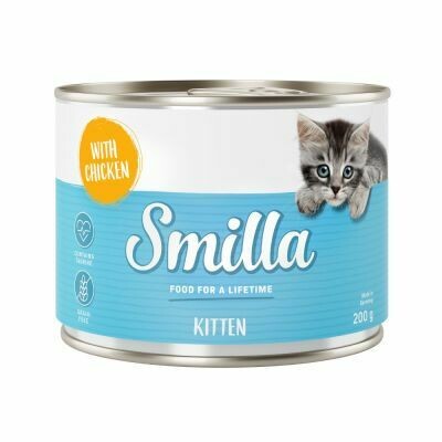 Smilla • Kitten • with Chicken