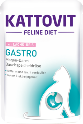 Kattovit • Gastro • mit Lachs & Reis