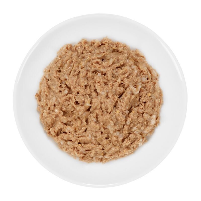 Cosma kitten food discount