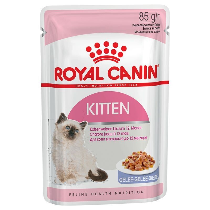 Royal Canin • Health Nutrition • Kitten • in Jelly