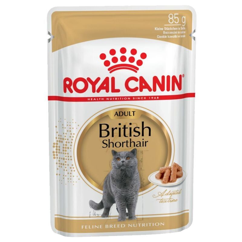 Royal Canin • Breed Nutrition • British Shorthair • in Gravy