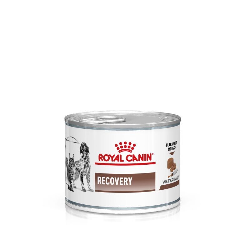 Royal Canin • Veterinary Feline • Recovery • Ultra soft mousse