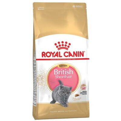 Royal Canin • Breed Nutrition • British Shorthair • Kitten