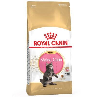 Royal Canin • Breed Nutrition • Maine Coon • Kitten