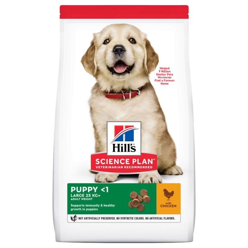 Hill&#39;s • Science Plan • Puppy &lt;1 • Large • with Chicken