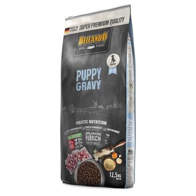 Belcando • Junior • Gravy