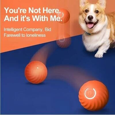 Smart Automatic Rolling Ball for DOGS