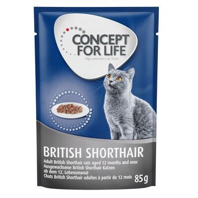 Concept for Life • British Shorthair • Adult (Ragout-Qualität)
