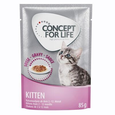 Concept for Life • Kitten • in Gelee