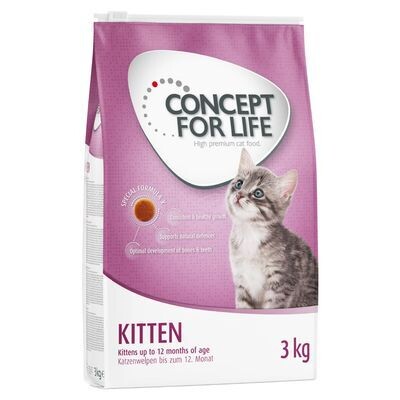 Concept for Life • Kitten