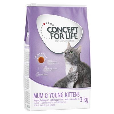 Concept for Life • Mum &amp; Young Kittens