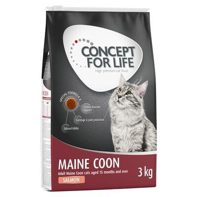 Concept for Life • Maine Coon • Adult • Lachs