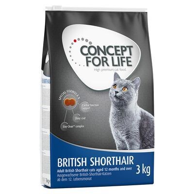 Concept for Life • British Shorthair • Adult