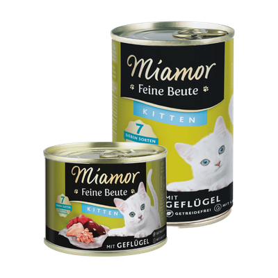 Miamor • Feine Beute • Kitten