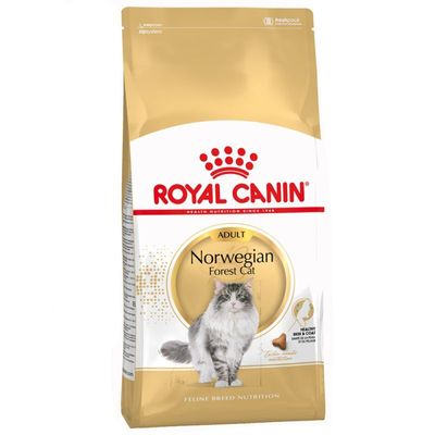 Royal Canin • Breed Nutrition • Norwegian Forest Cat