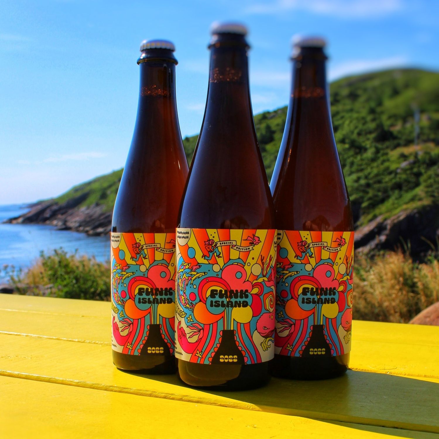 Funk Island Ale 500ml