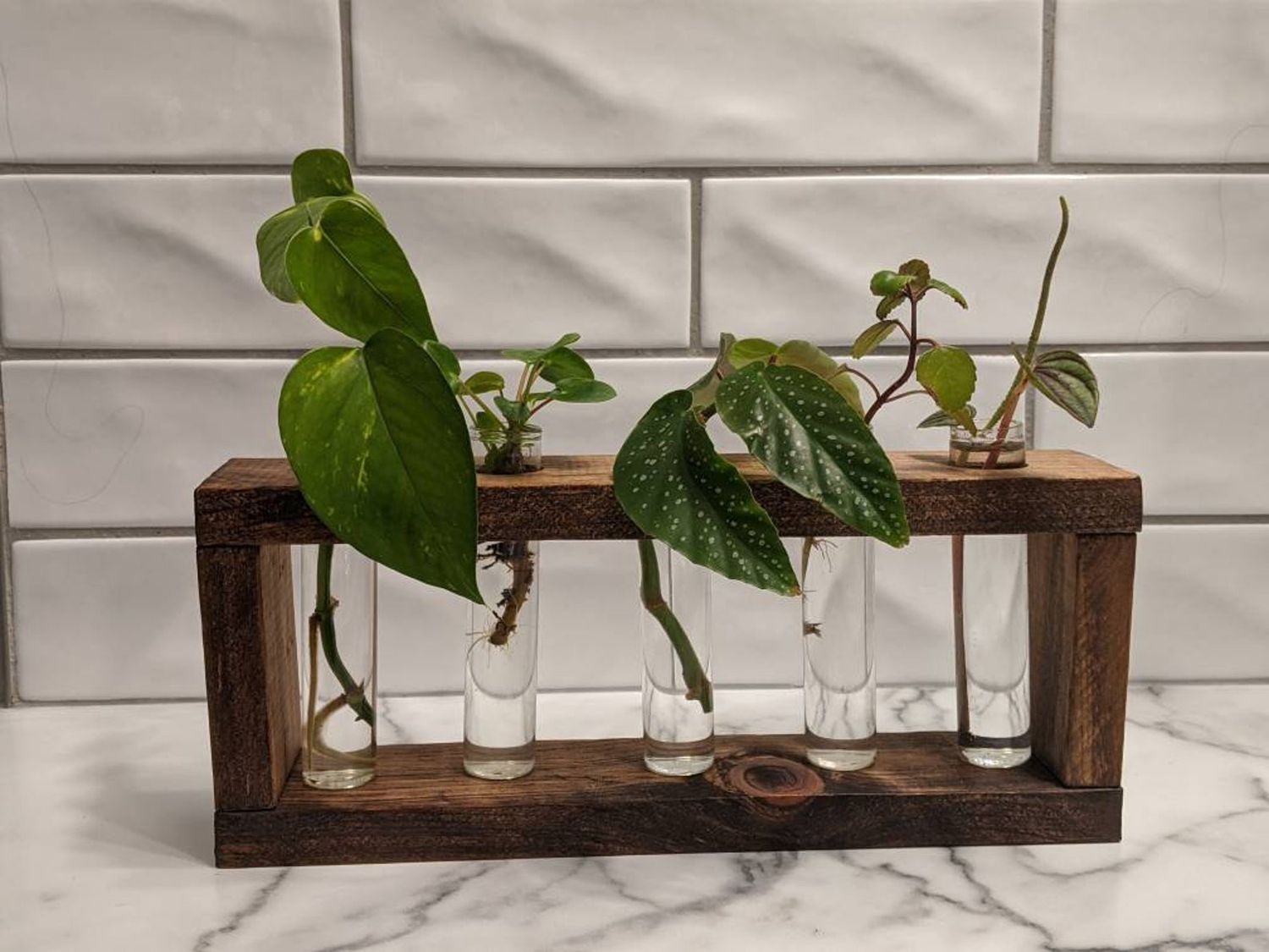 Propagation Stations