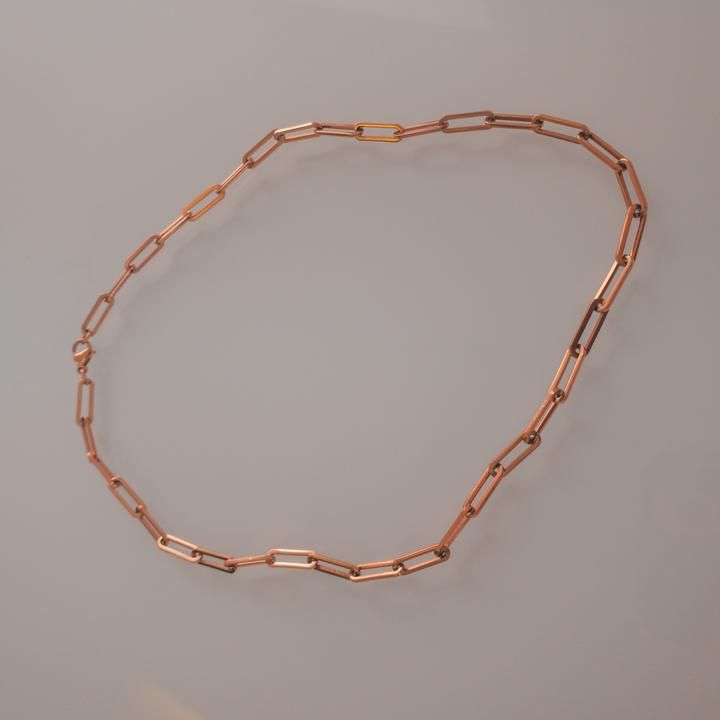 Iconic Link Necklace