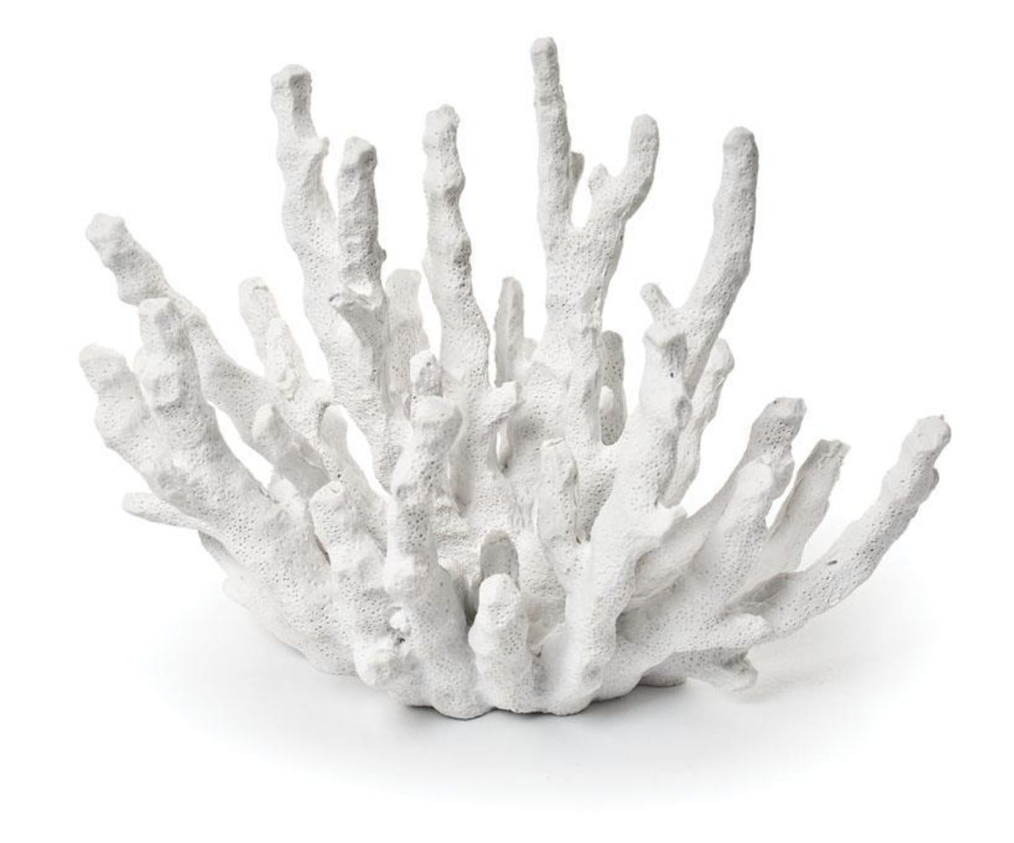 Small Finger Coral