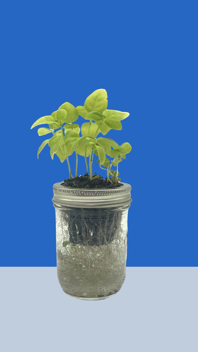 Micro Garden Kit