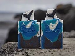 Iceberg and Whale Soap0