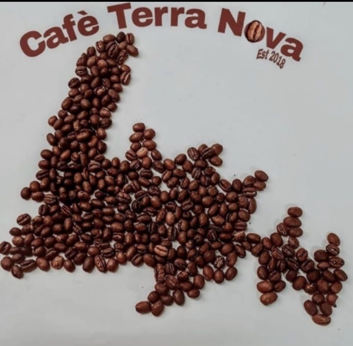 Comfort Cove Medium Roast