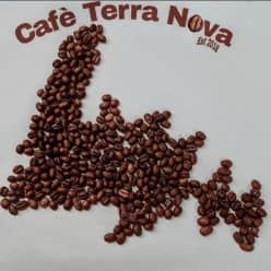 Two Rivers Medium Plus Roast