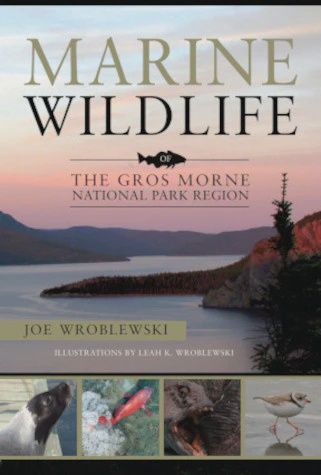 Marine Wildlife of Gros Morne