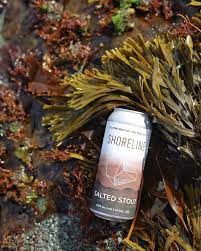 Shoreline Salted Stout