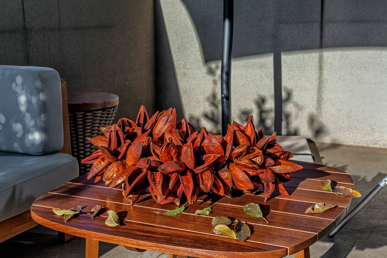 Sororoca Fruit Sculpture in Orange and Copper