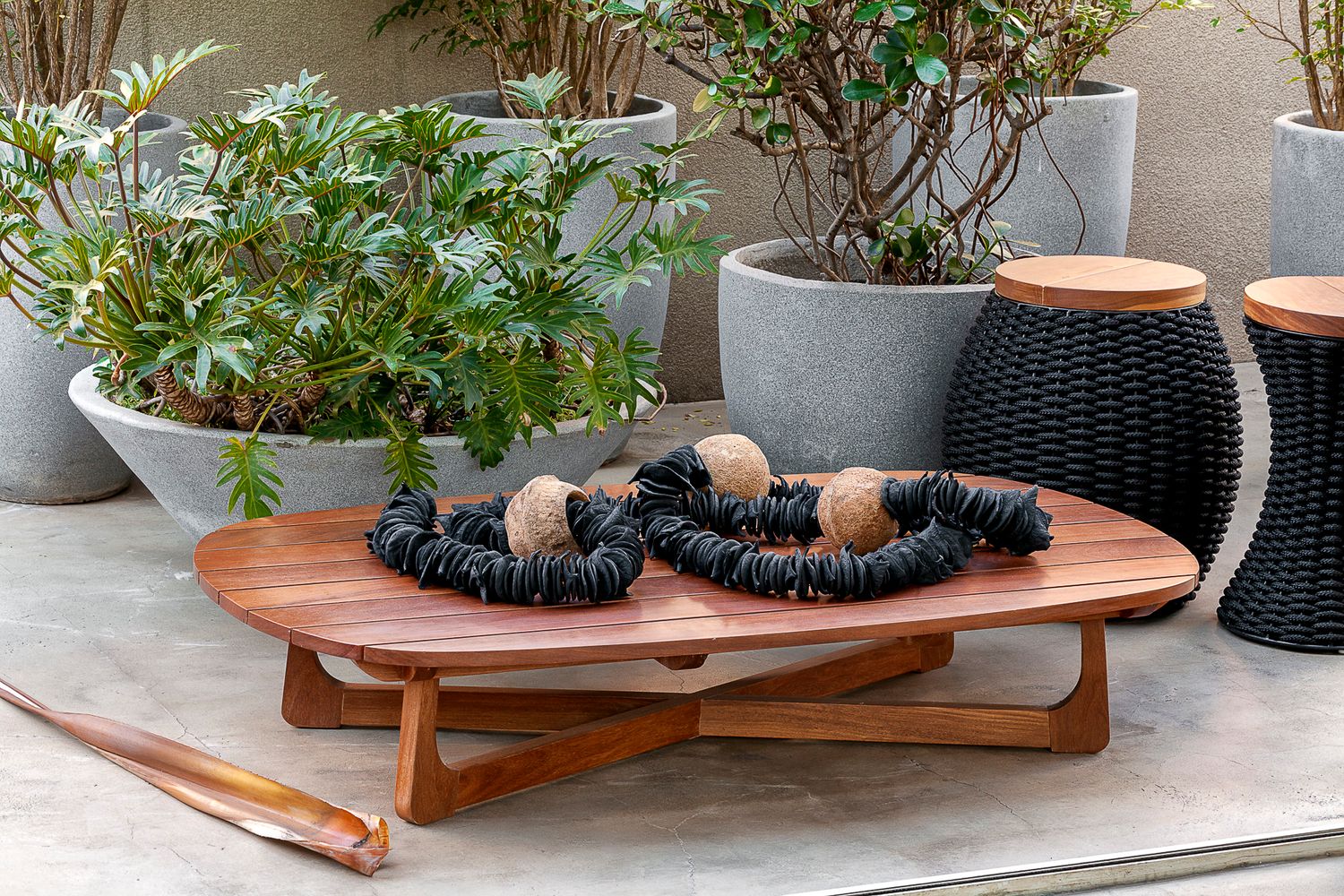 Half-Black Pereiro Sculpture with Natural Sapucaia