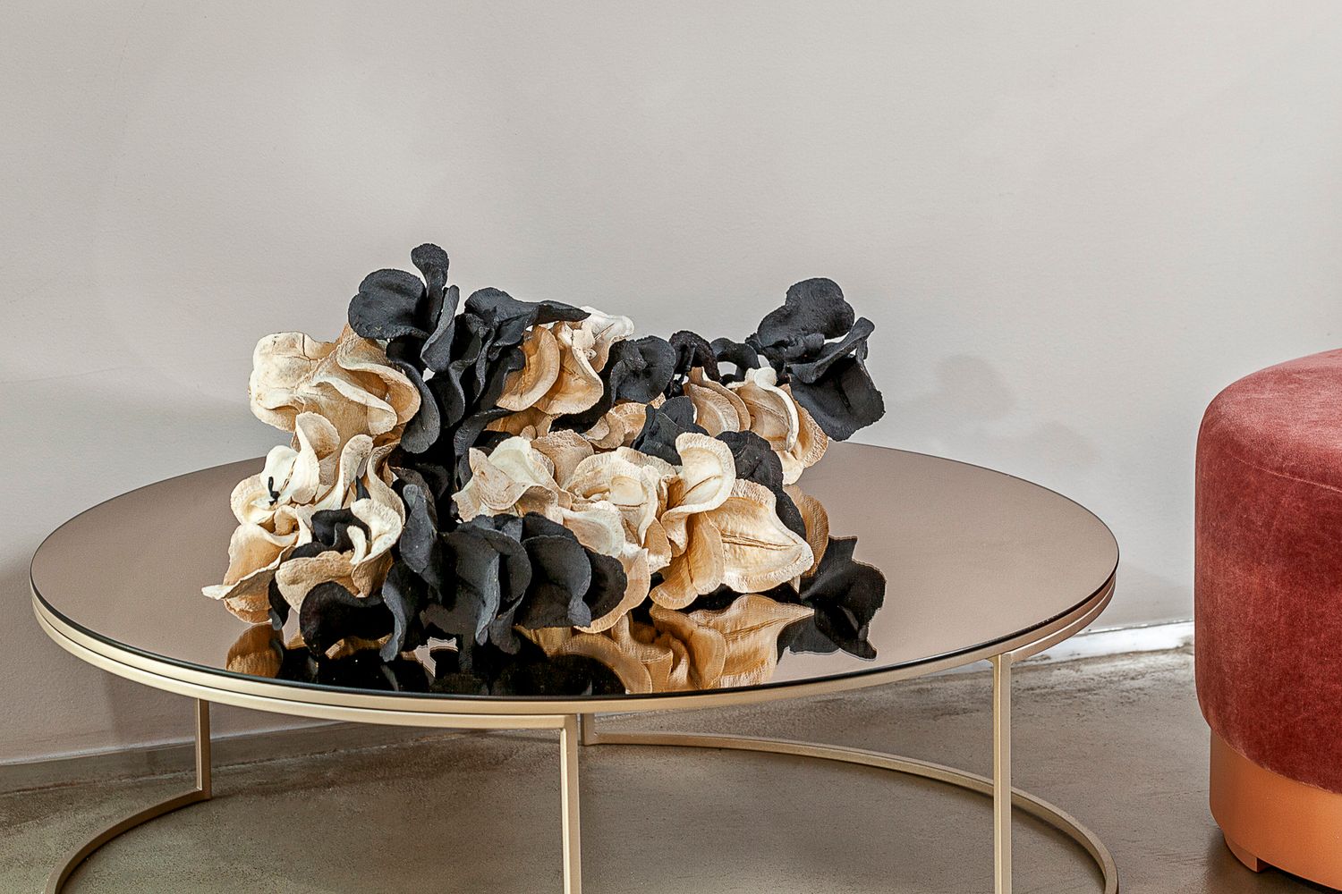 Black and Bleached Frog Mouth Sculpture