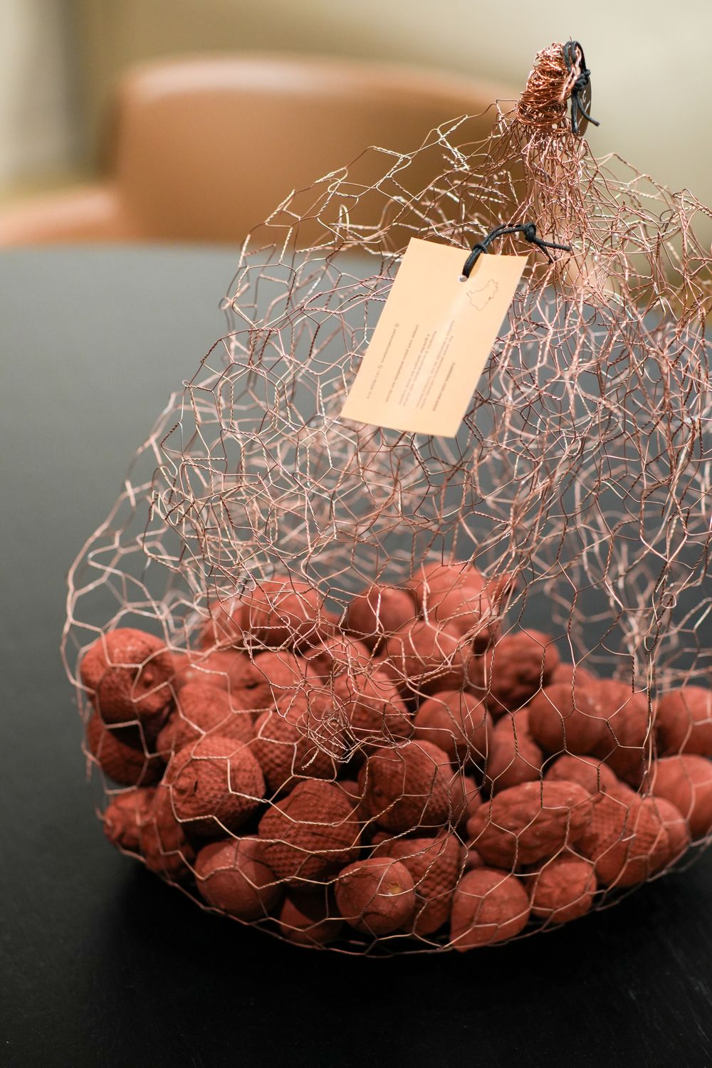 Gaiola 45 Sculpture in Copper with Red Buriti Fruits