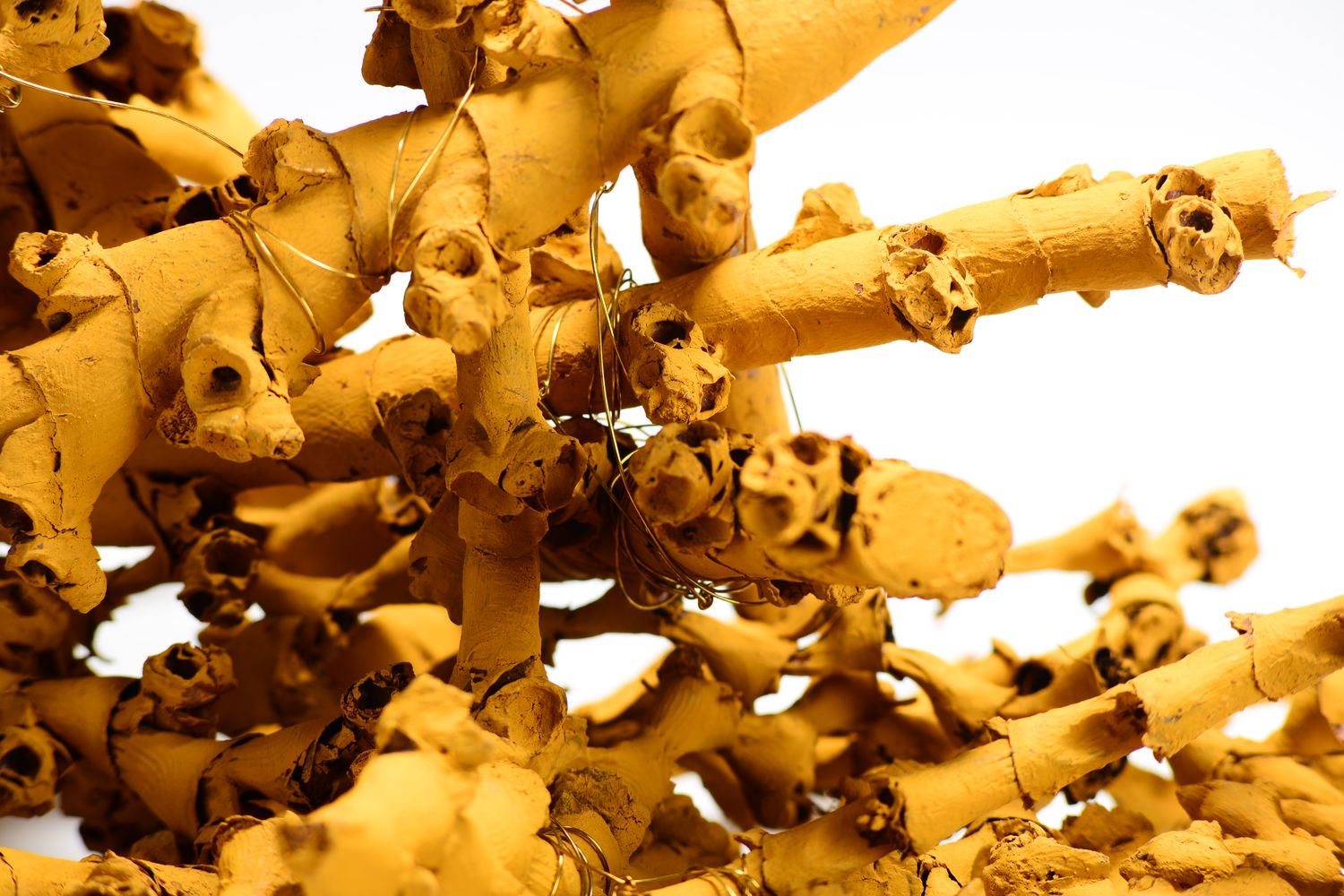Ochre Buriti Stem Object with Gold Wire