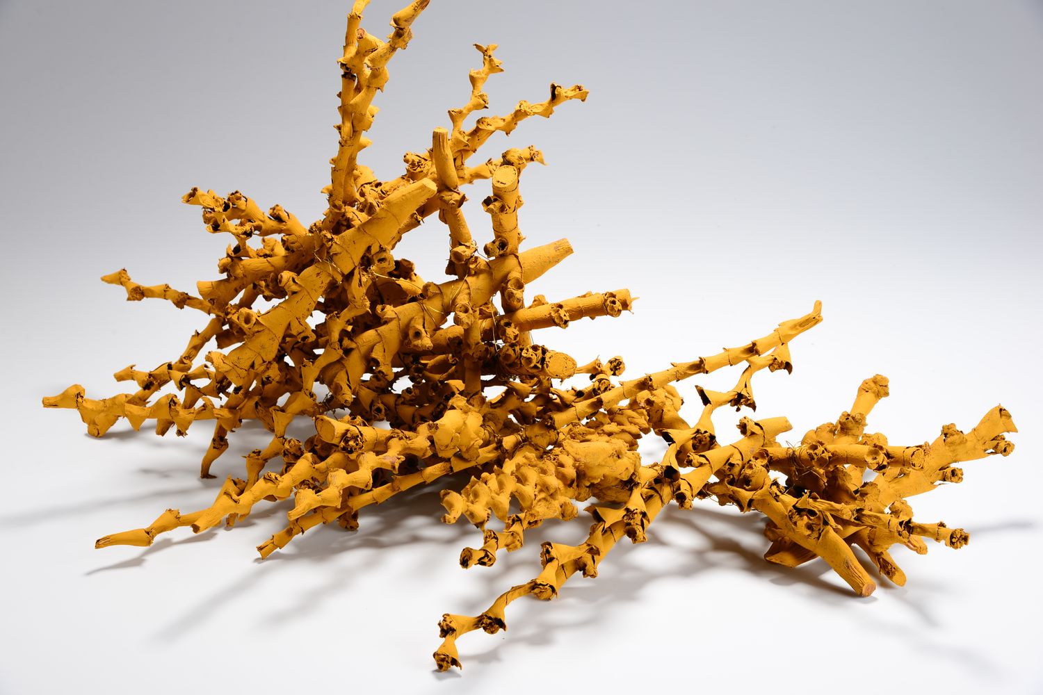 Ochre Buriti Stem Object with Gold Wire