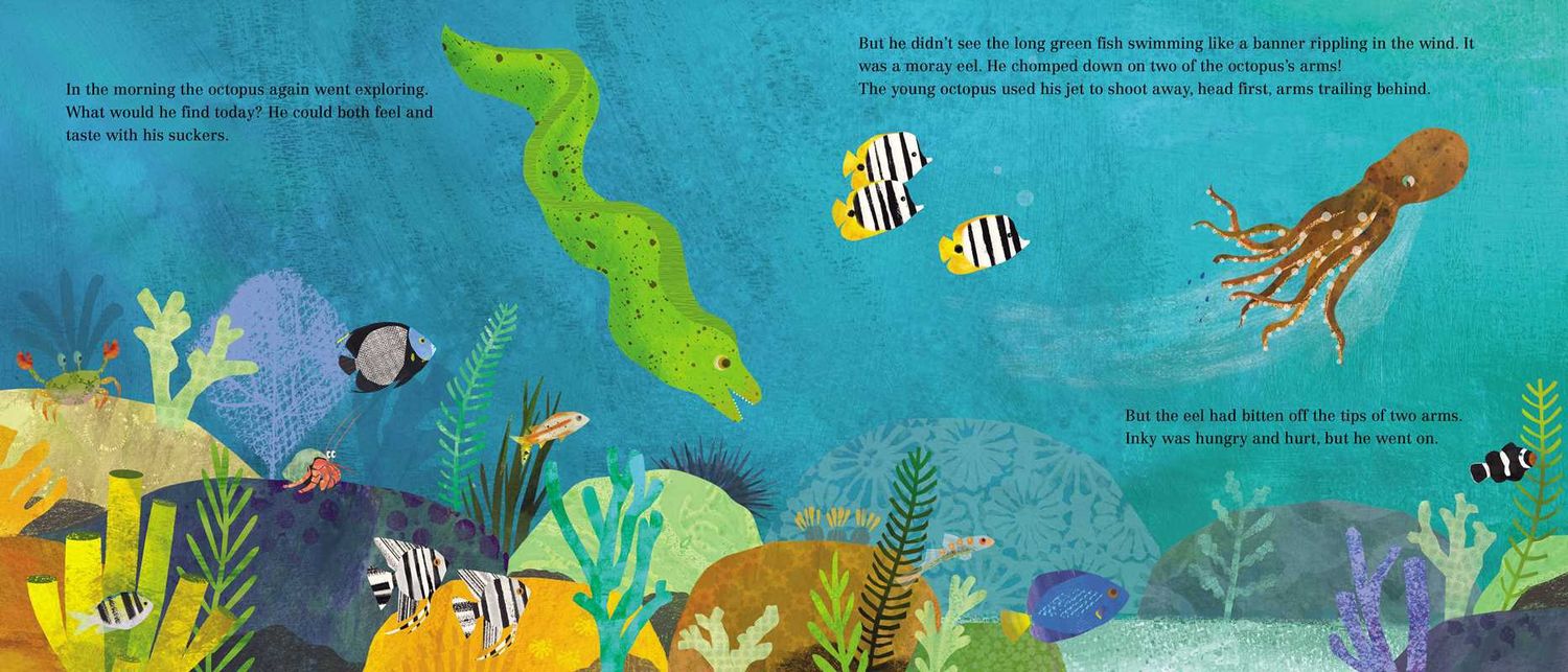 Inky's Amazing Escape by Sy   Montgomery