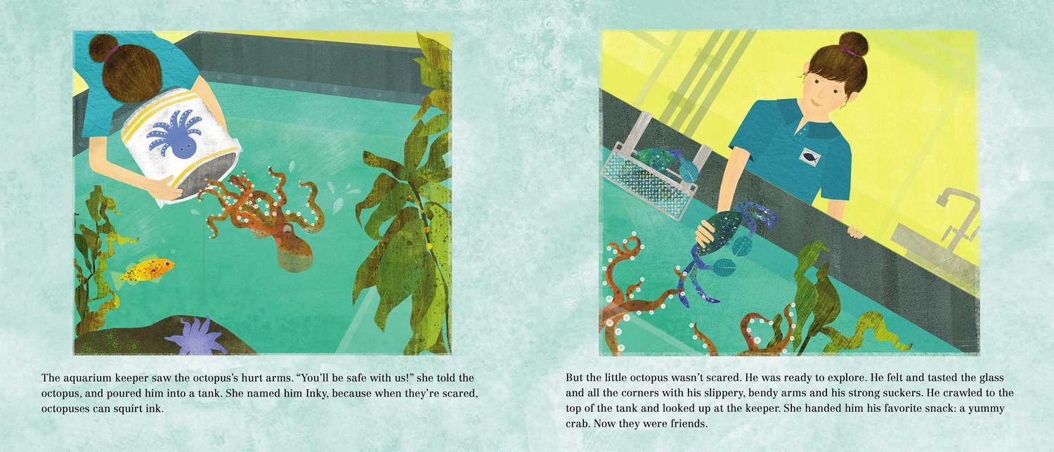 Inky's Amazing Escape by Sy   Montgomery