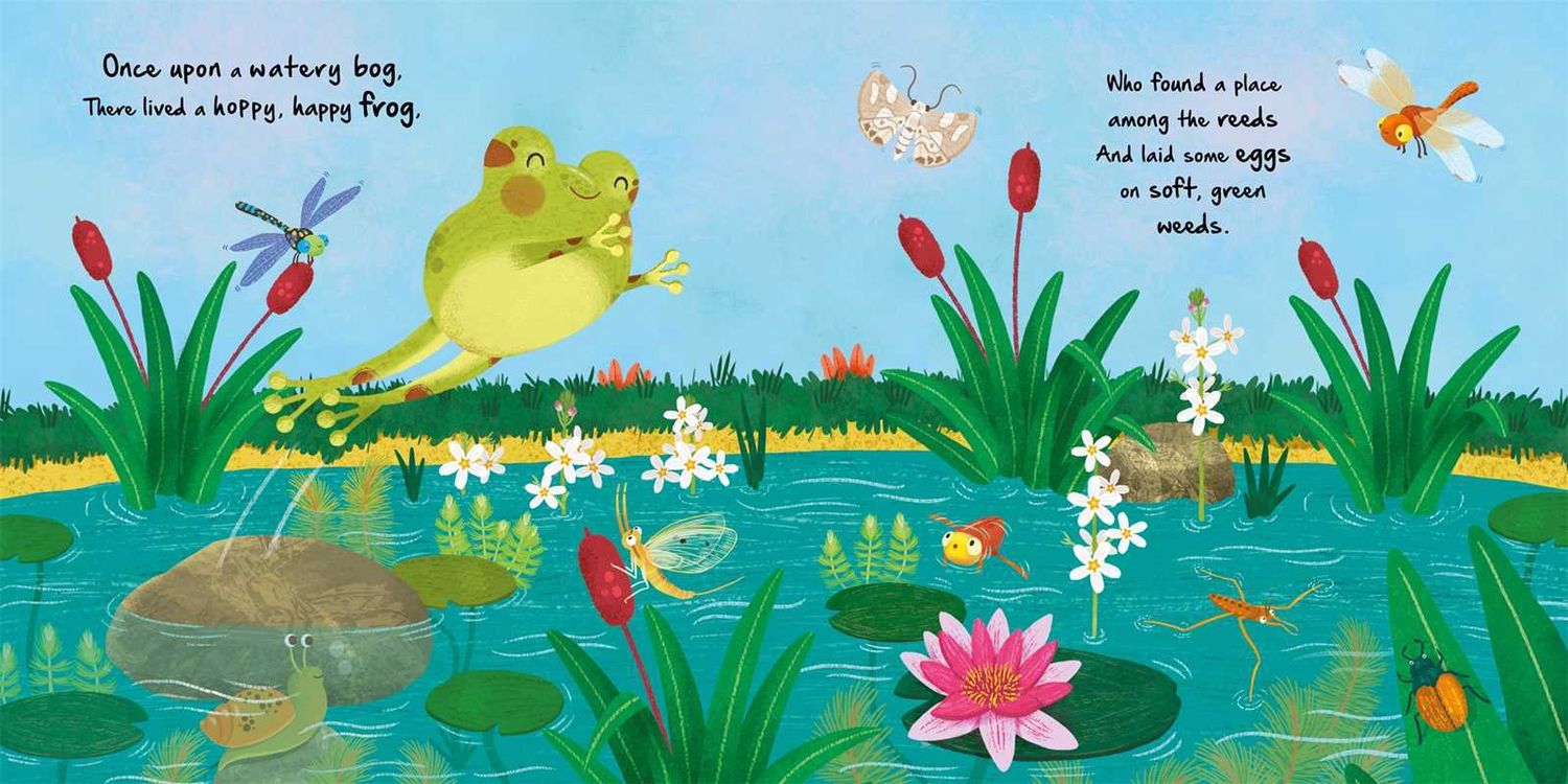 Nature Stories: Little Frog-Discover an Amazing Story from the Natural World by IglooBooks